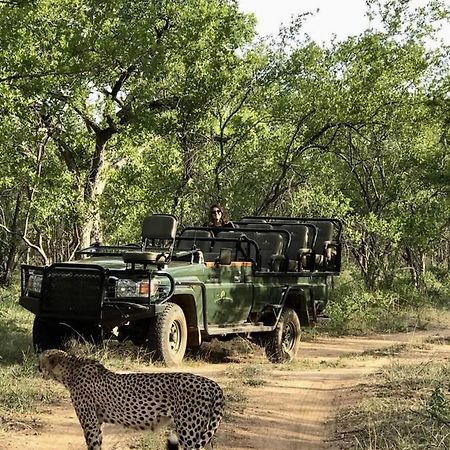 Karongwe Portfolio- Shiduli Private Game Lodge Karongwe Game Reserve Luaran gambar