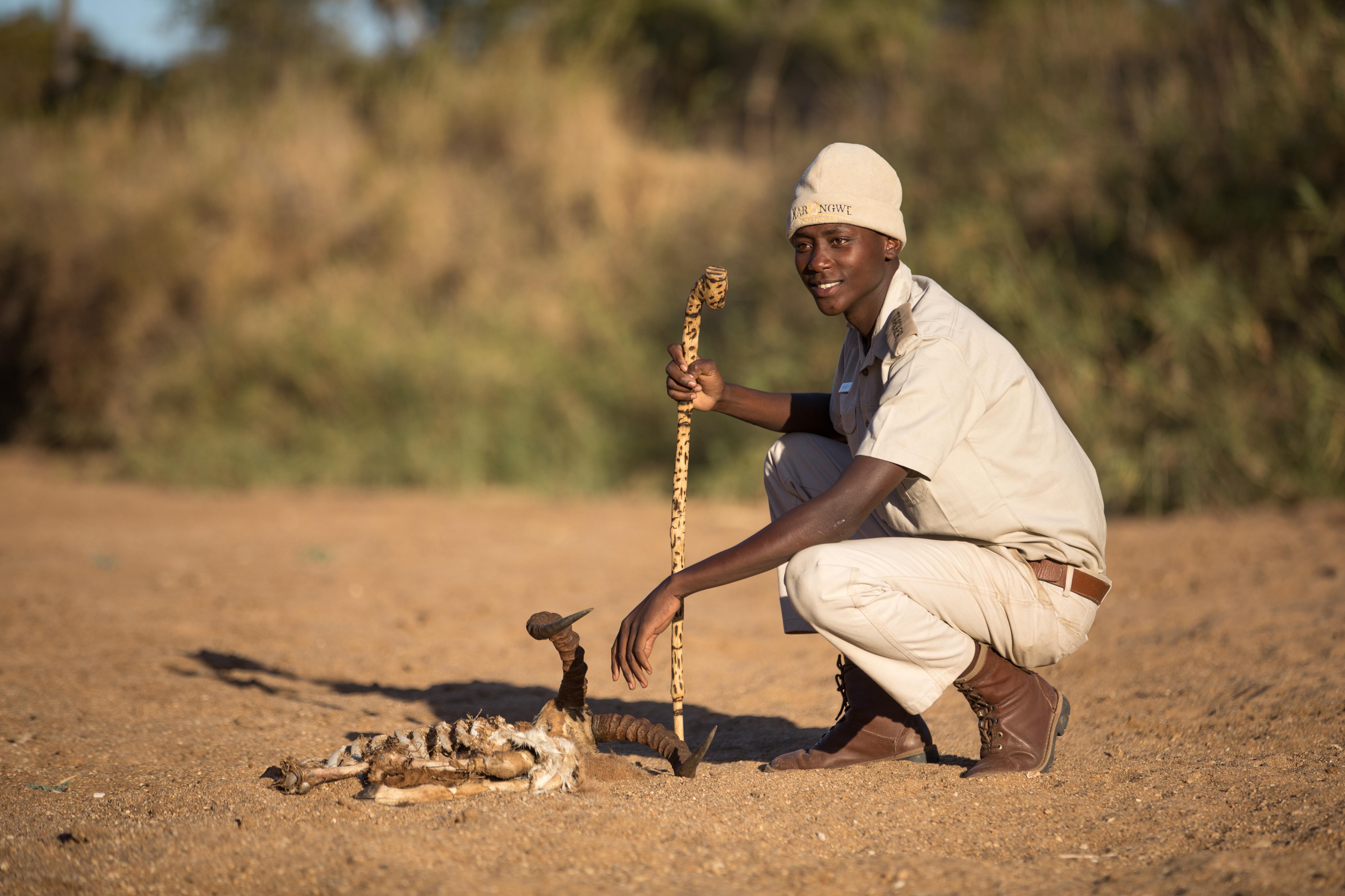 Karongwe Portfolio- Shiduli Private Game Lodge Karongwe Game Reserve Luaran gambar