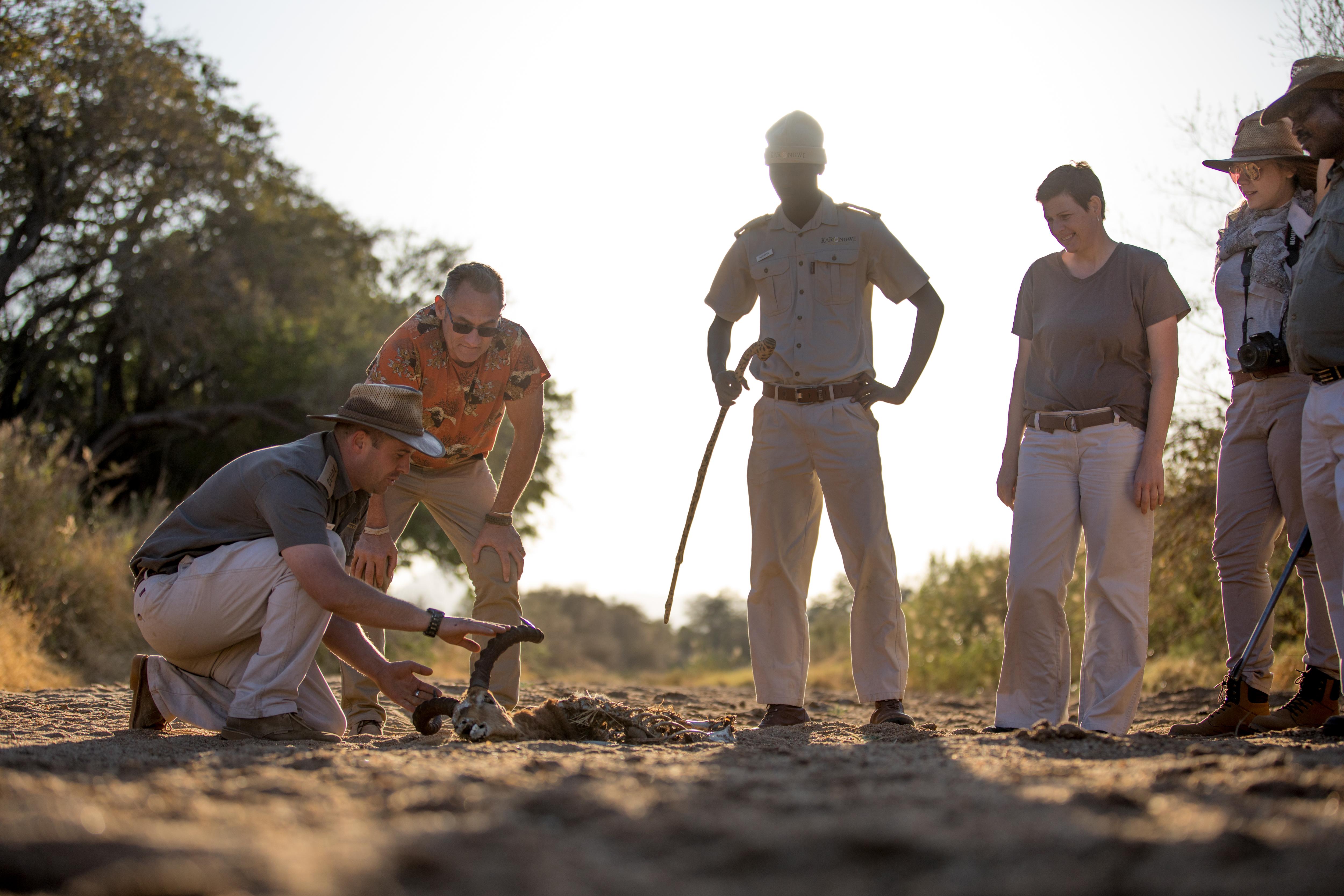 Karongwe Portfolio- Shiduli Private Game Lodge Karongwe Game Reserve Luaran gambar