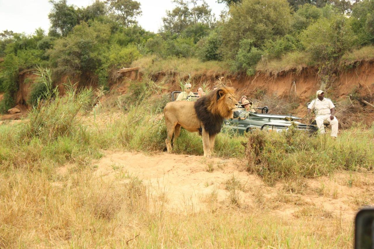 Karongwe Portfolio- Shiduli Private Game Lodge Karongwe Game Reserve Luaran gambar