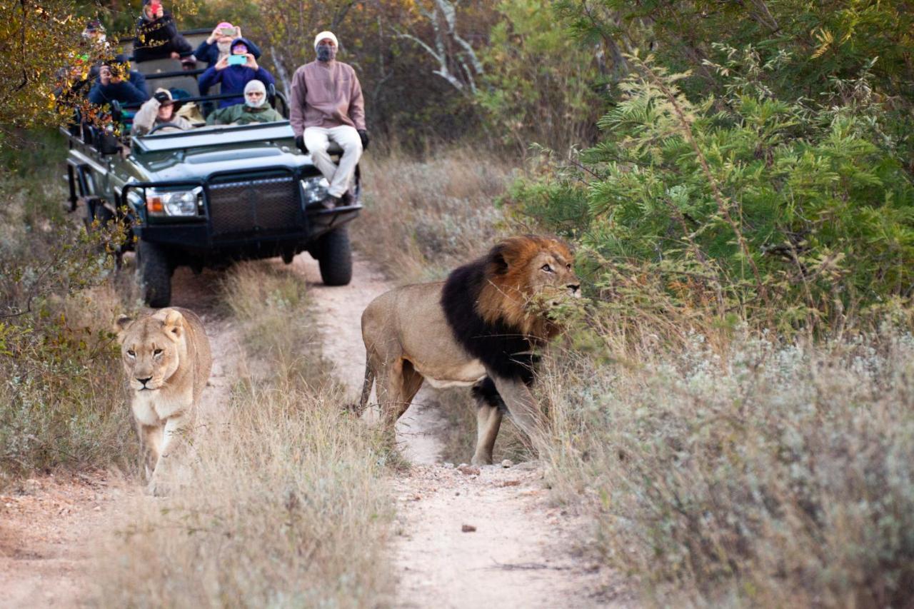Karongwe Portfolio- Shiduli Private Game Lodge Karongwe Game Reserve Luaran gambar