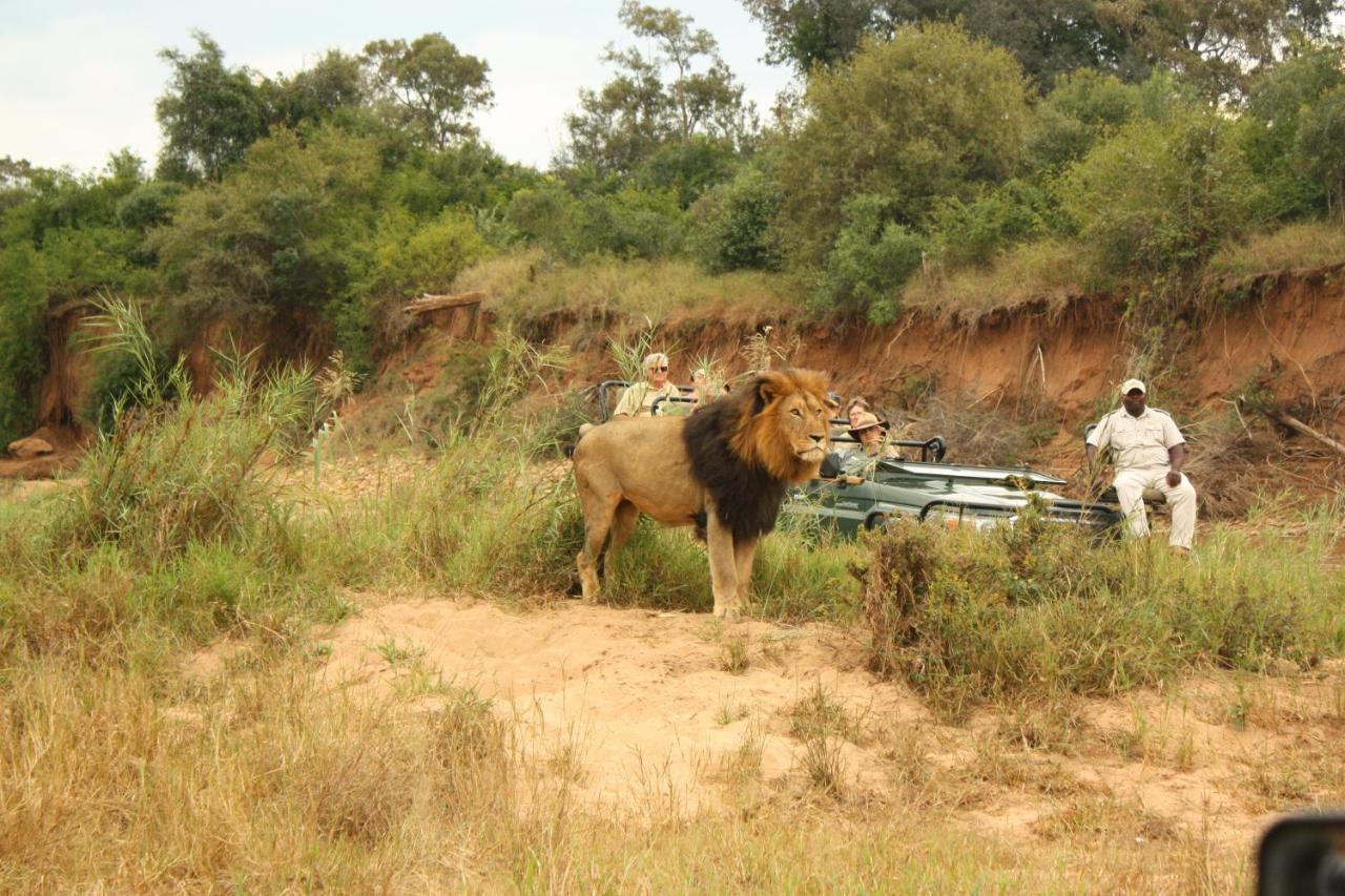 Karongwe Portfolio- Shiduli Private Game Lodge Karongwe Game Reserve Luaran gambar