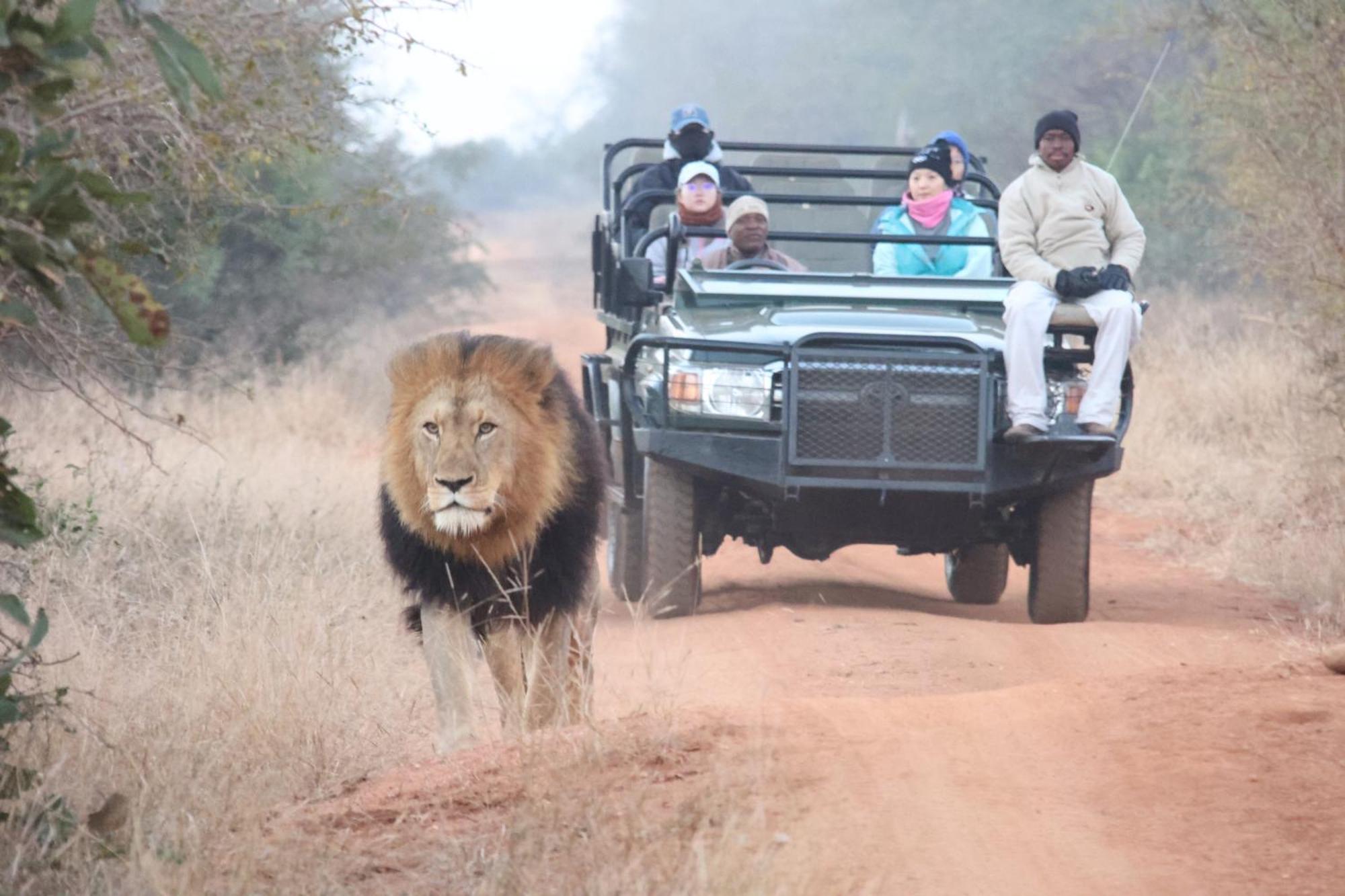 Karongwe Portfolio- Shiduli Private Game Lodge Karongwe Game Reserve Luaran gambar