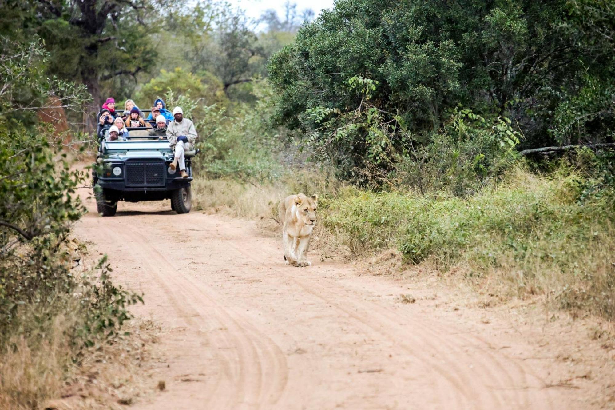 Karongwe Portfolio- Shiduli Private Game Lodge Karongwe Game Reserve Luaran gambar
