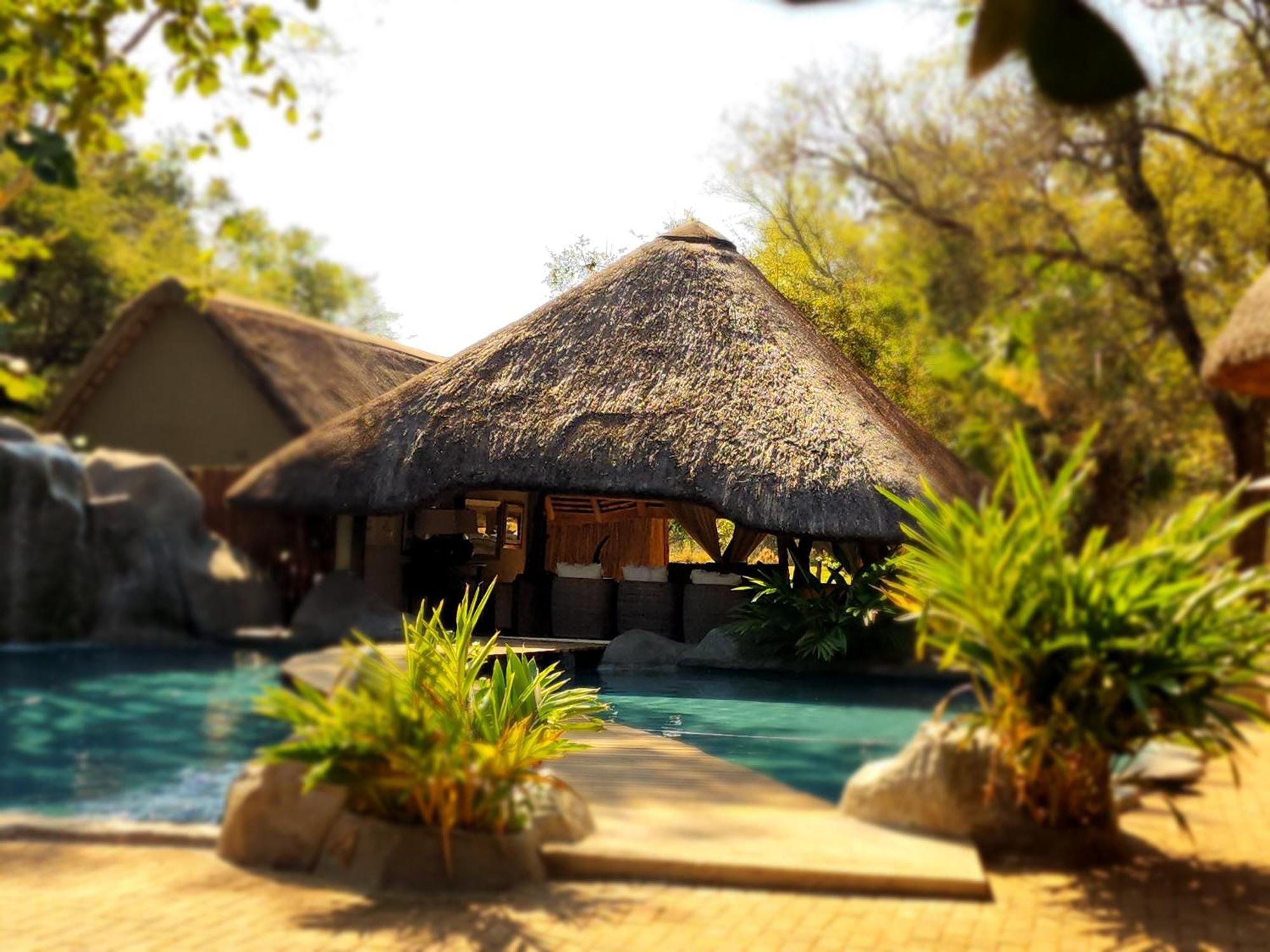 Karongwe Portfolio- Shiduli Private Game Lodge Karongwe Game Reserve Luaran gambar