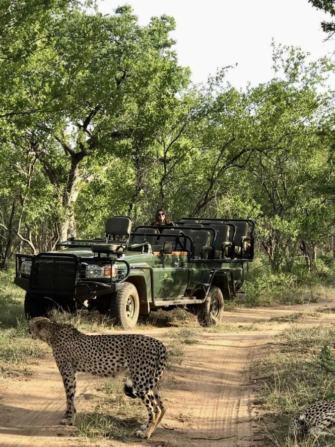 Karongwe Portfolio- Shiduli Private Game Lodge Karongwe Game Reserve Luaran gambar